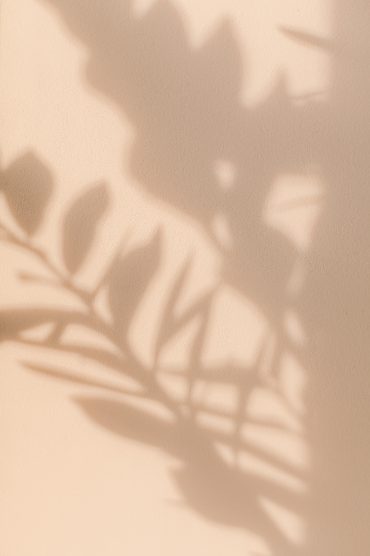 Shadows of Leaves on Beige Wall